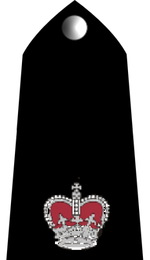 Rwc superintendent insignia.png.png