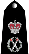 Rwc assistant commissioner insignia.png.png