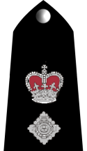 Rwc chief superintendent insignia.png.png