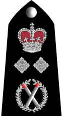 Rwc deputy commissioner insignia.png.png