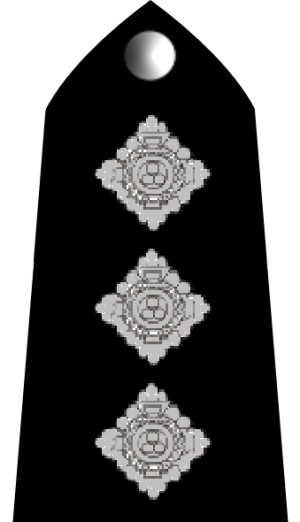 Rwc inspector insignia.png.png