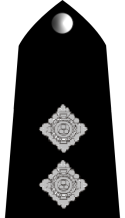 Rwc chief inspector insignia.png