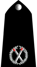 Rwc commander insignia.png.png